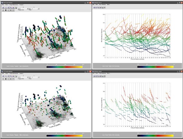 Visual Analytics to Explore Iceberg Movement